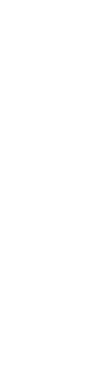 side-banner